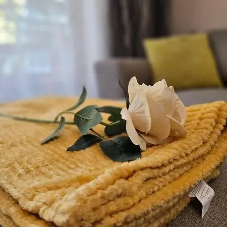 Appartement Serenity In The Heart Of With Parking